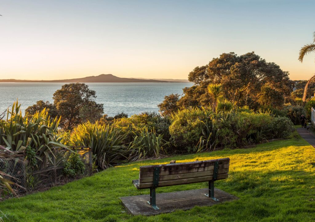 A lush green North Shore viewpoint overlooking Rangitoto Island, surrounded by native New Zealand trees, bushes, and coastal vegetation.