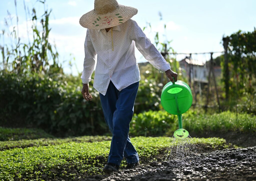 A person wearing a straw hat waters young plants in a garden with a green watering can, showing gentle outdoor activity and natural movement.
